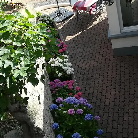 Gite Tout Confort Avec Terrasse, Parking, Wifi - 4 Chambres, 8 Couchages - Fr-1-589-246